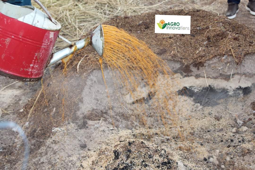 Biochar Activé aux Micro-organismes